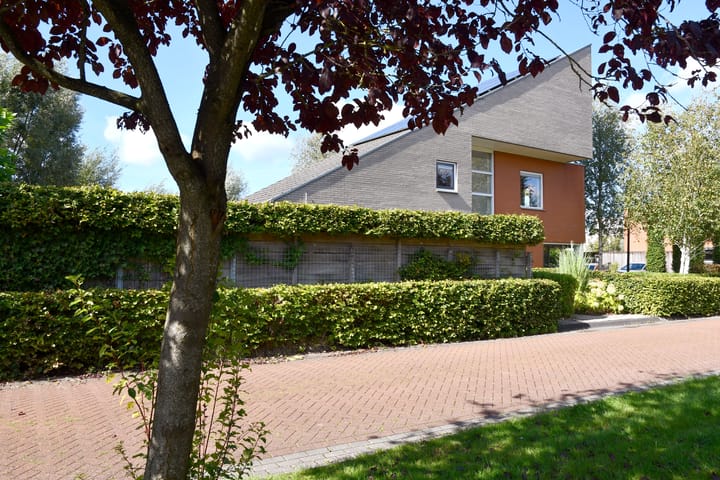 Foto 7 van Driegraas 41