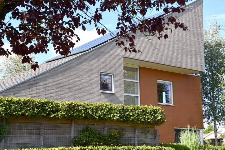 Foto 8 van Driegraas 41