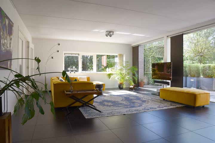 Foto 11 van Driegraas 41