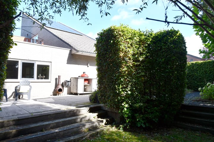 Foto 36 van Driegraas 41