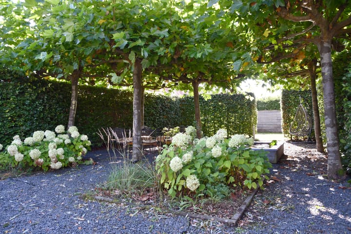 Foto 38 van Driegraas 41