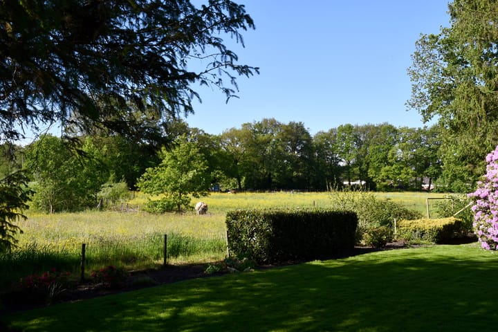 Foto 11 van Maatlanden 2