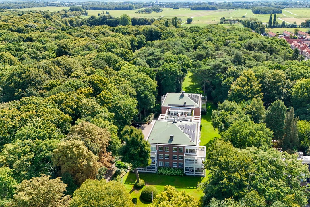 Foto 1 van Laan van Pluymestein 22