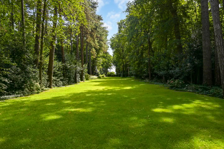 Foto 11 van Laan van Pluymestein 22