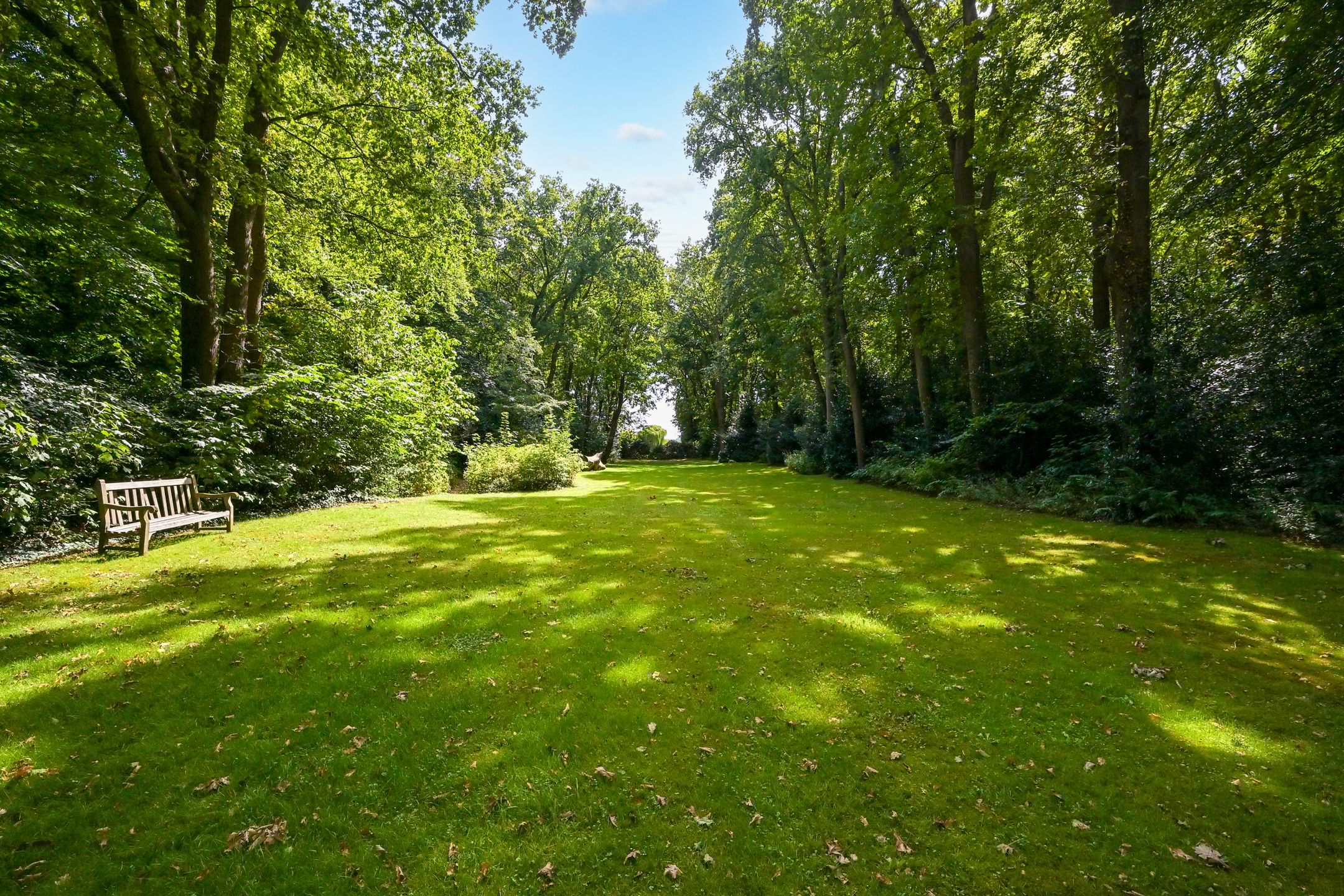 Foto 12 van Laan van Pluymestein 22