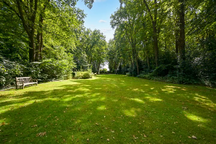 Foto 12 van Laan van Pluymestein 22