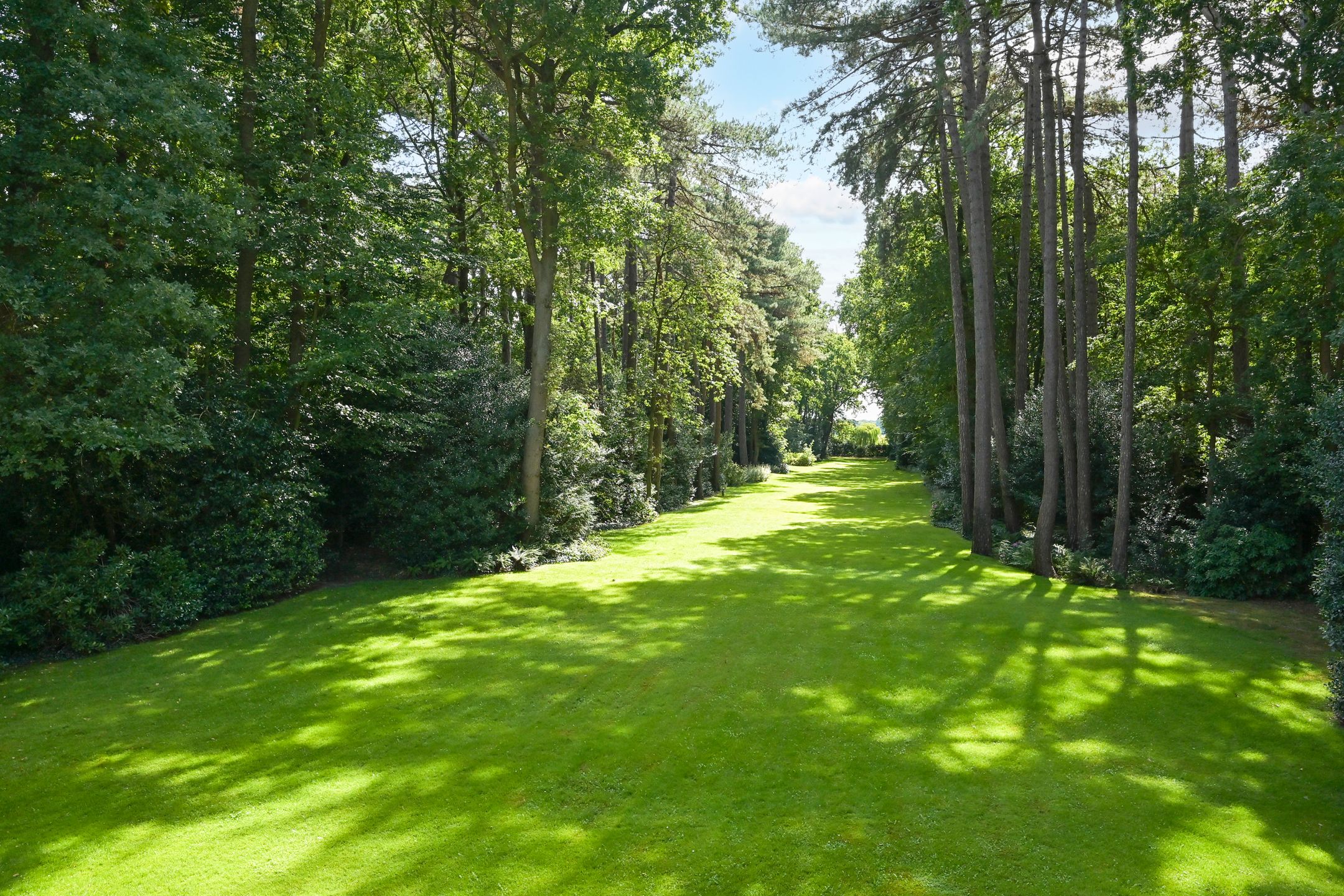 Foto 36 van Laan van Pluymestein 22