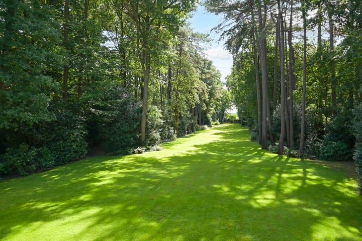 Foto 36 van Laan van Pluymestein 22