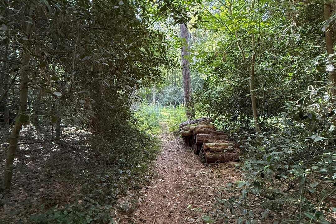 Foto 43 van Laan van Pluymestein 22