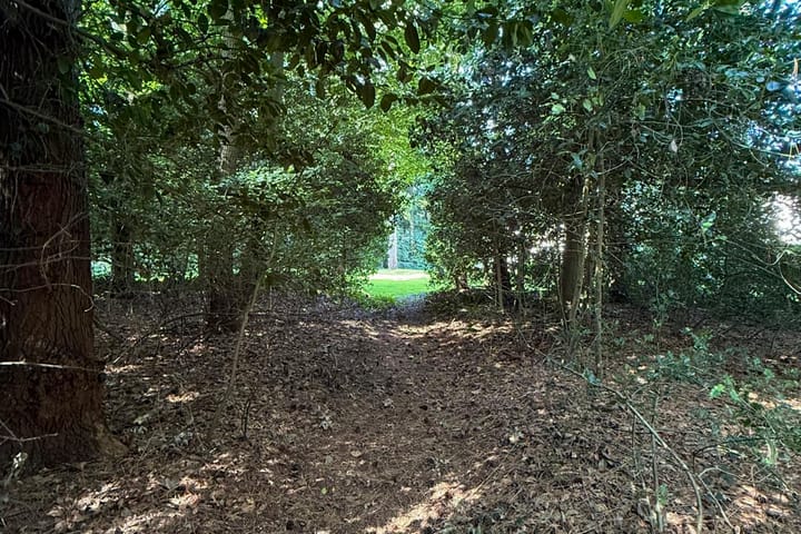 Foto 47 van Laan van Pluymestein 22