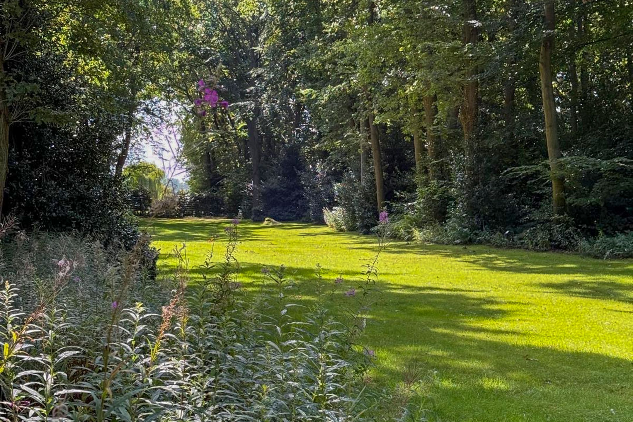 Foto 48 van Laan van Pluymestein 22