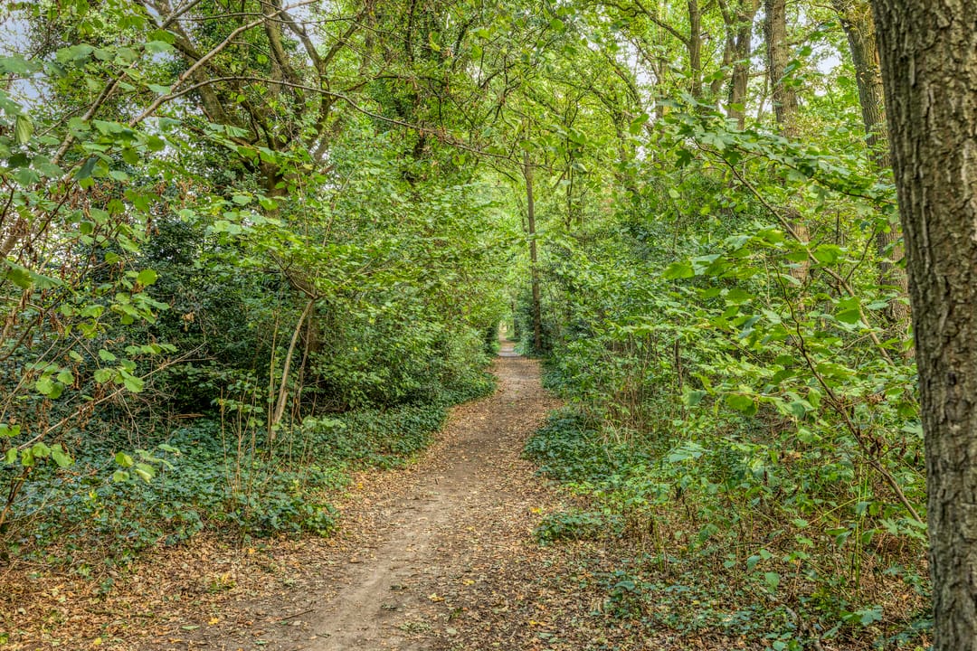 Photo 41 of Hulterman 23