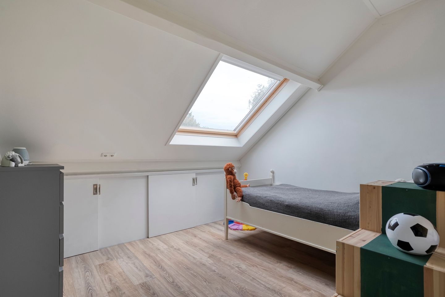 Photo 29 of Kamperfoelie 28