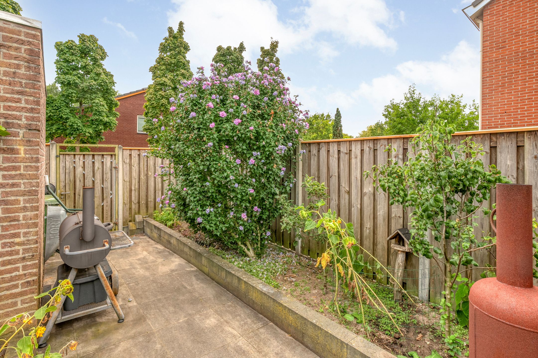 Photo 36 of Kamperfoelie 28