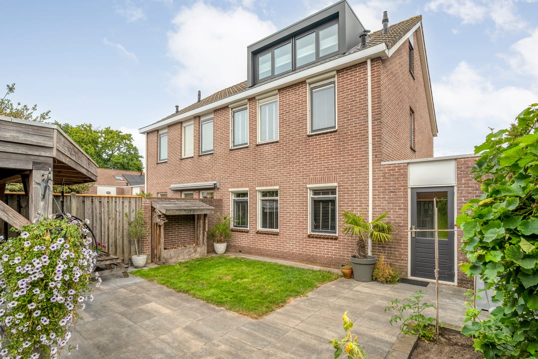 Photo 38 of Kamperfoelie 28