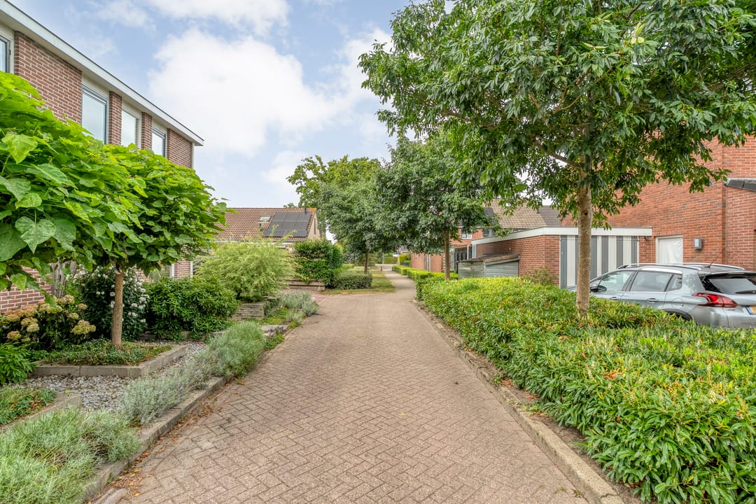 Photo 41 of Kamperfoelie 28