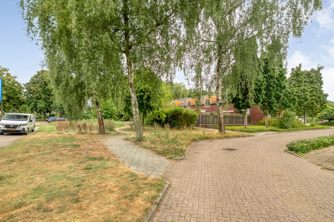 Photo 43 of Kamperfoelie 28