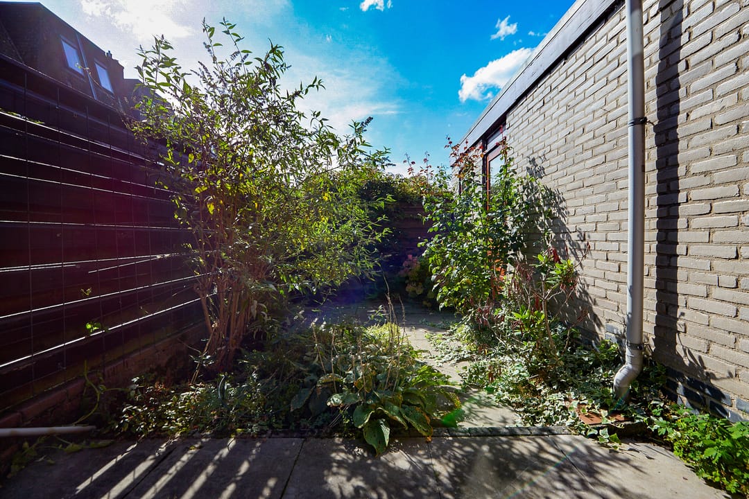 Foto 8 van Timorstraat 64