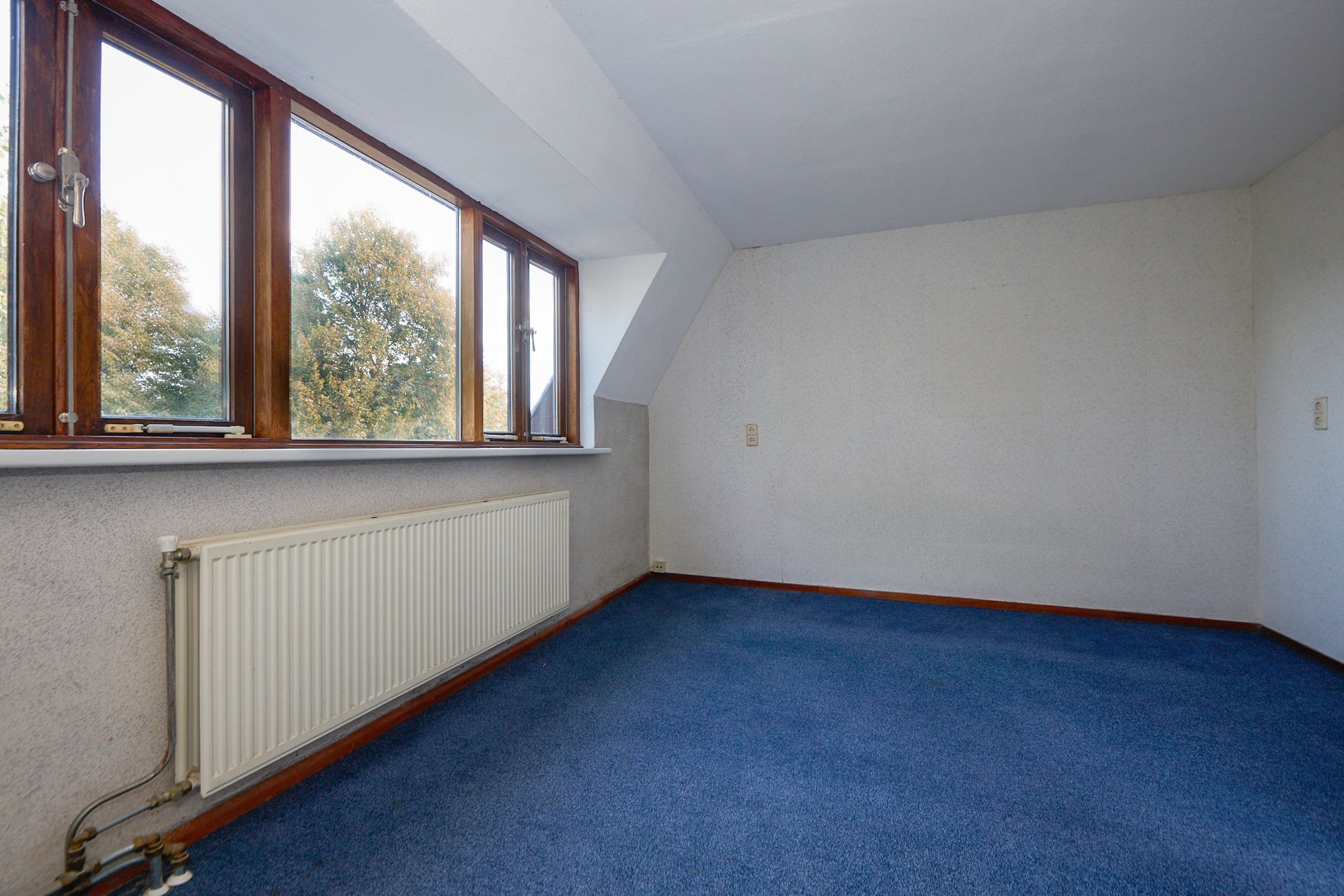 Foto 54 van Timorstraat 64