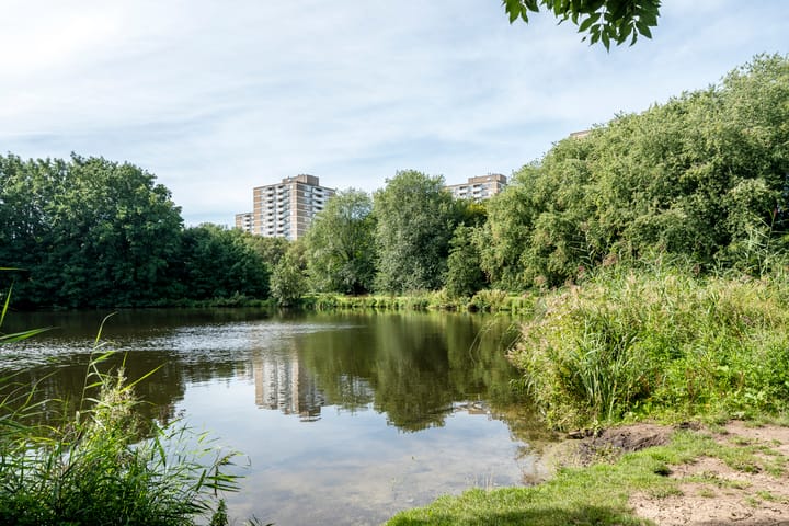 Foto 50 van Surinameplein 149