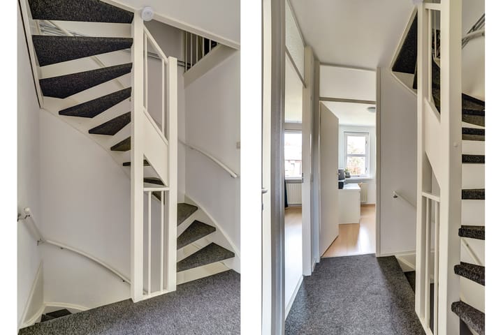 Foto 24 van Prunus 8