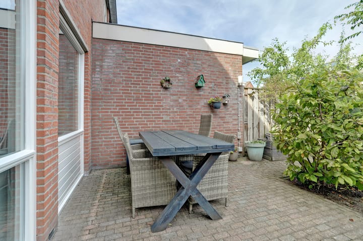 Foto 30 van Prunus 8