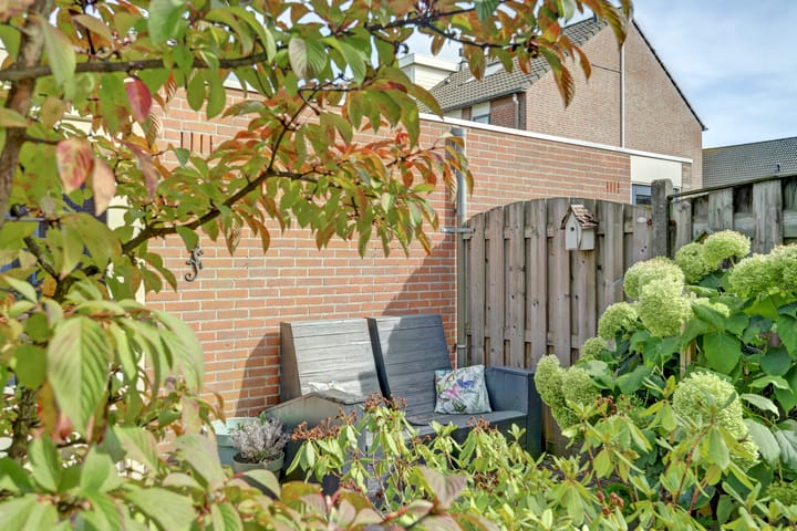 Foto 31 van Prunus 8