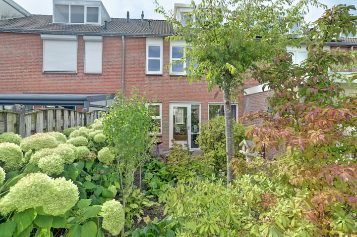 Foto 35 van Prunus 8