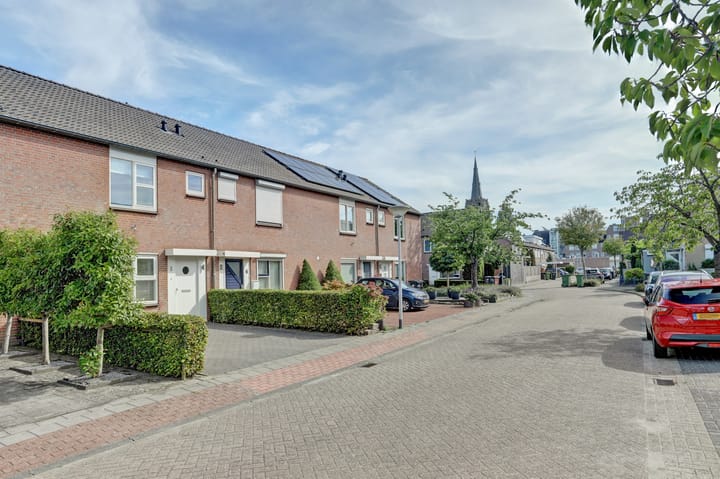 Foto 36 van Prunus 8