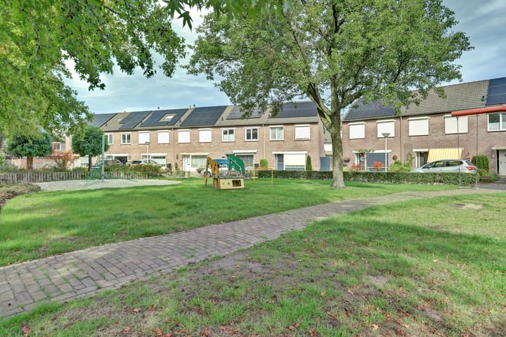 Foto 38 van Prunus 8