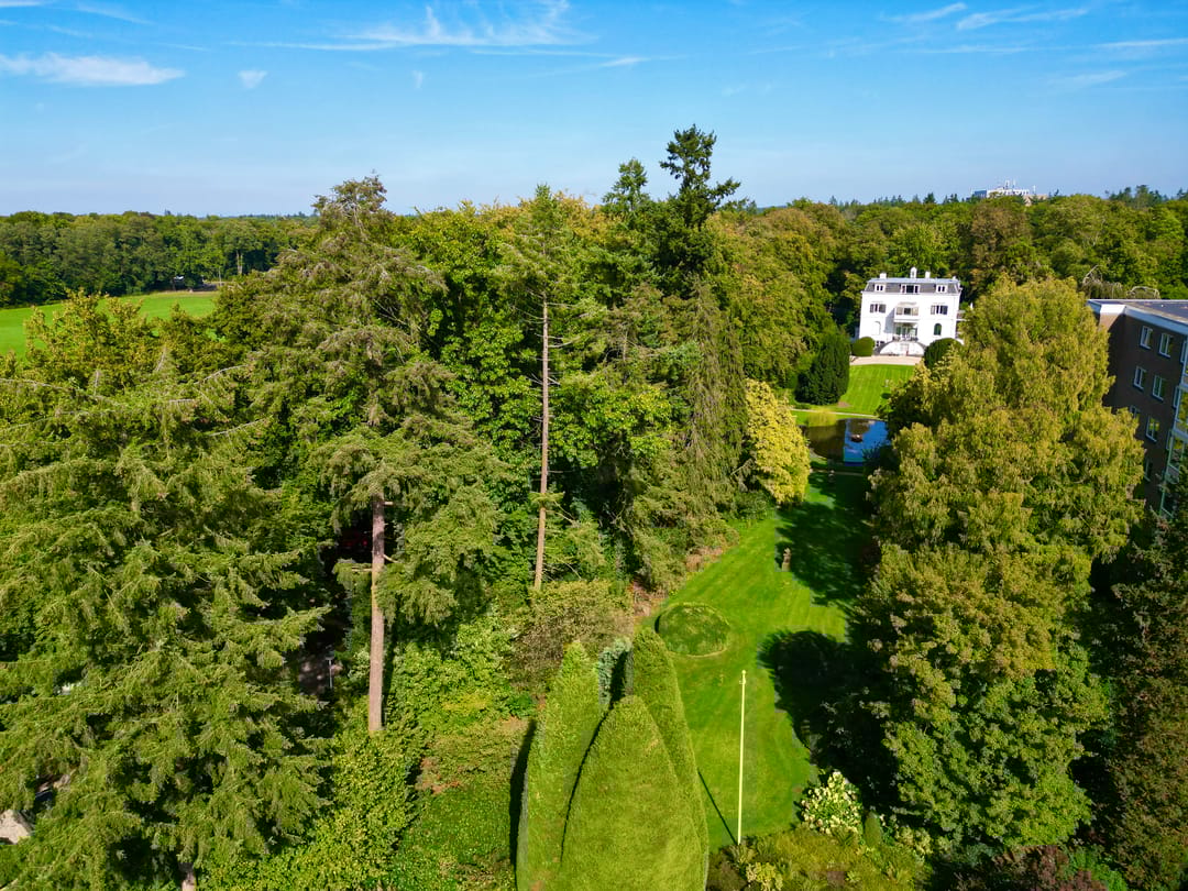 Foto 2 van Laan van Rijnwijk 1-C5