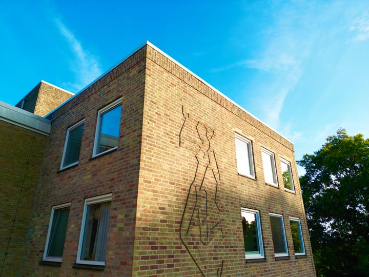 Foto 3 van Laan van Rijnwijk 1-C5