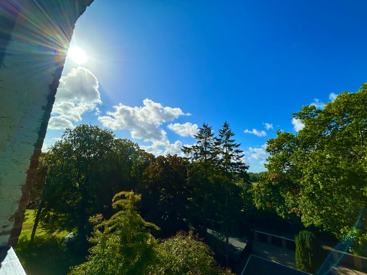 Foto 17 van Laan van Rijnwijk 1-C5