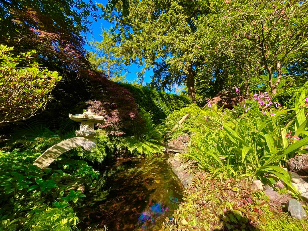 Foto 28 van Laan van Rijnwijk 1-C5