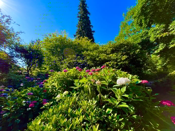 Foto 29 van Laan van Rijnwijk 1-C5