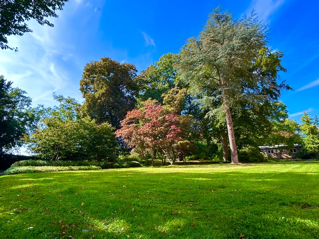 Foto 32 van Laan van Rijnwijk 1-C5