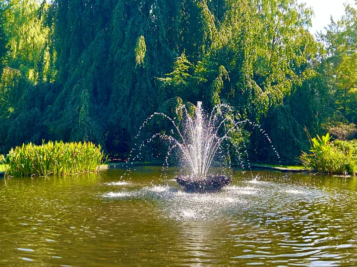 Foto 33 van Laan van Rijnwijk 1-C5