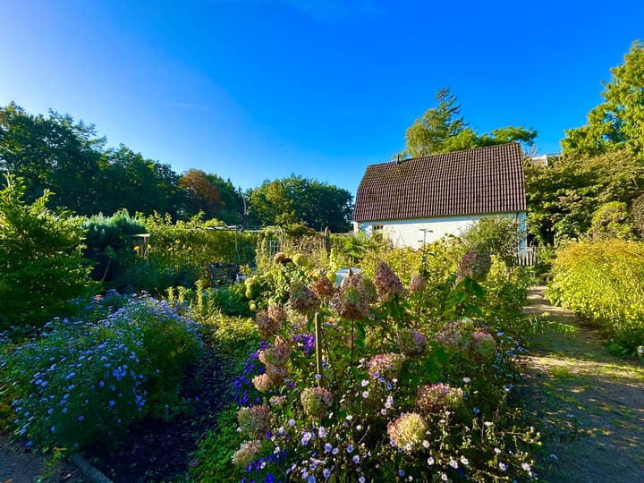 Foto 34 van Laan van Rijnwijk 1-C5