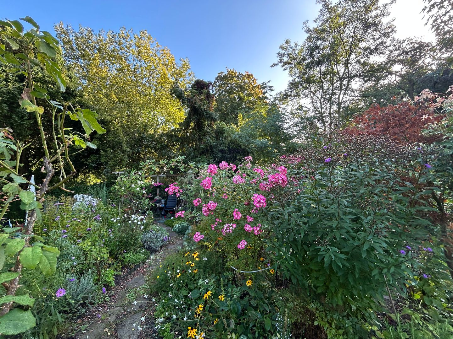 Foto 35 van Laan van Rijnwijk 1-C5