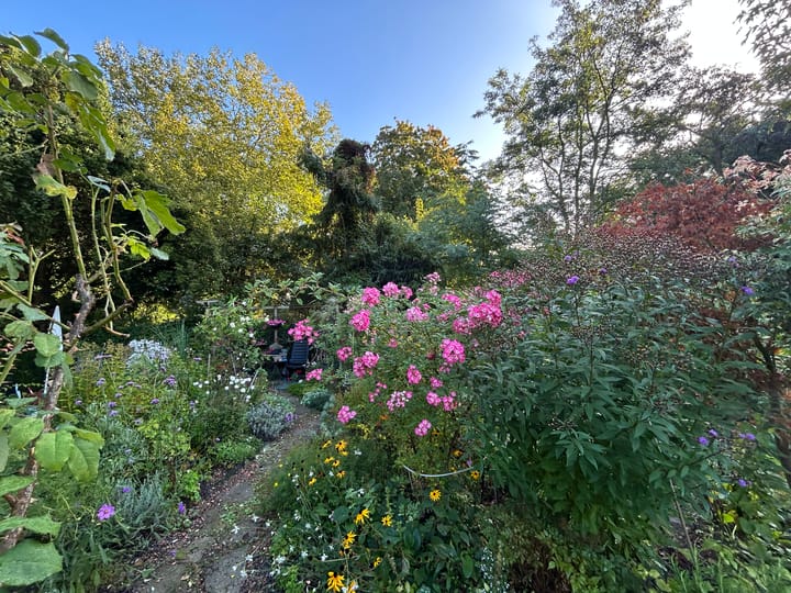 Foto 35 van Laan van Rijnwijk 1-C5