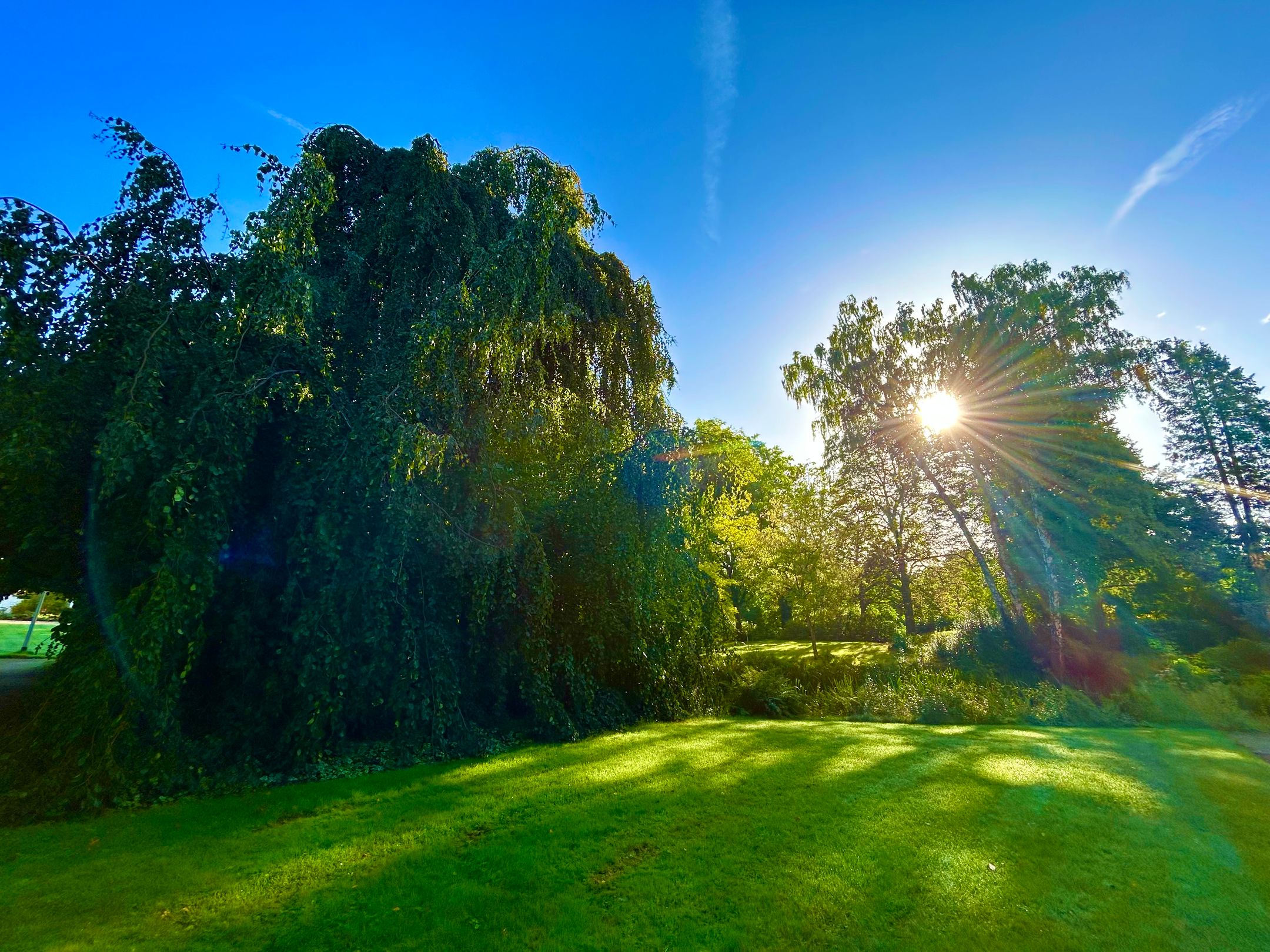 Foto 36 van Laan van Rijnwijk 1-C5