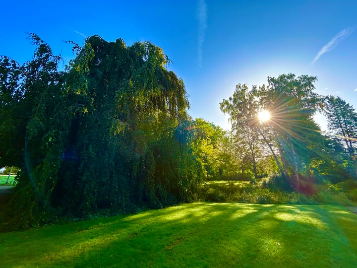 Foto 36 van Laan van Rijnwijk 1-C5