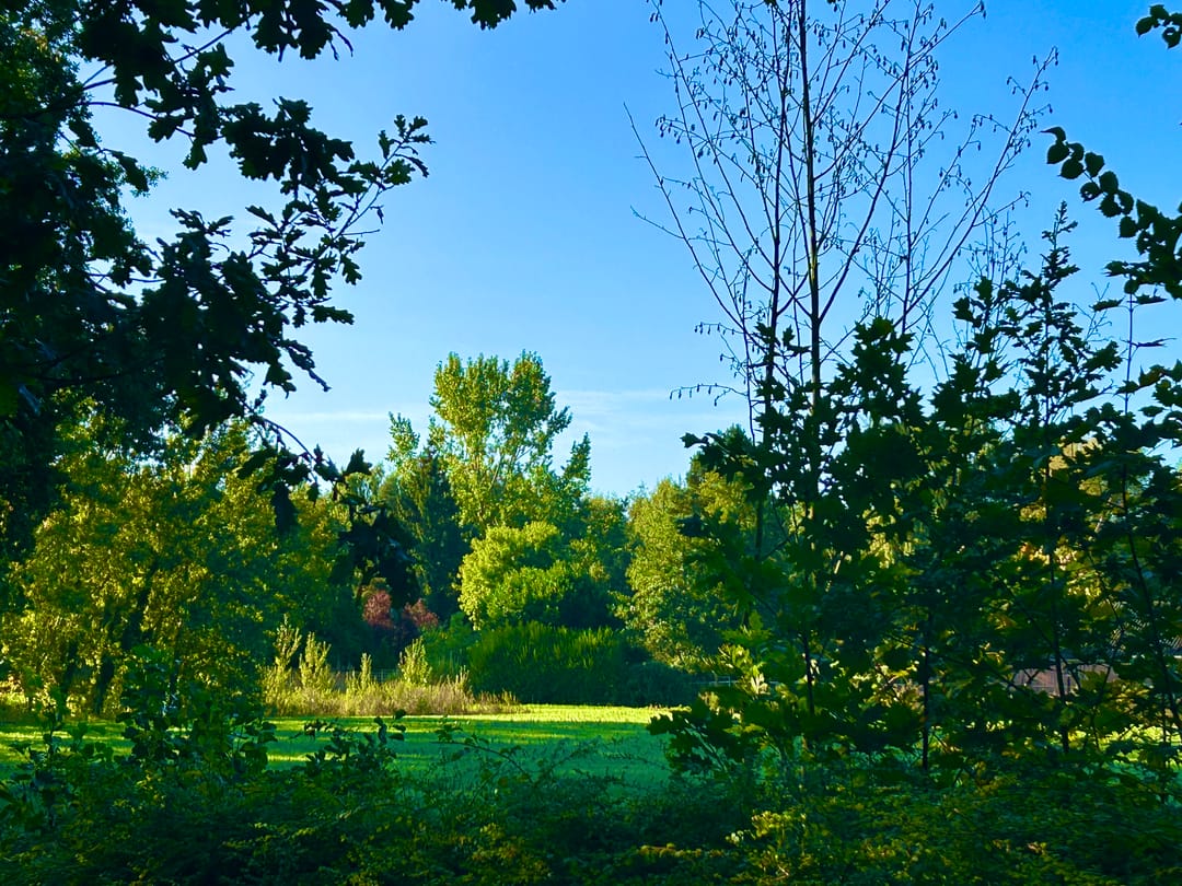 Foto 37 van Laan van Rijnwijk 1-C5