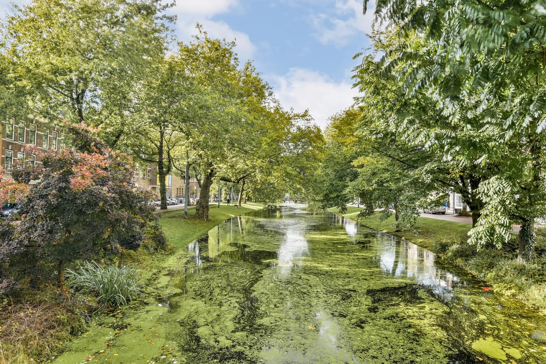 Foto 28 van Erasmusstraat 195