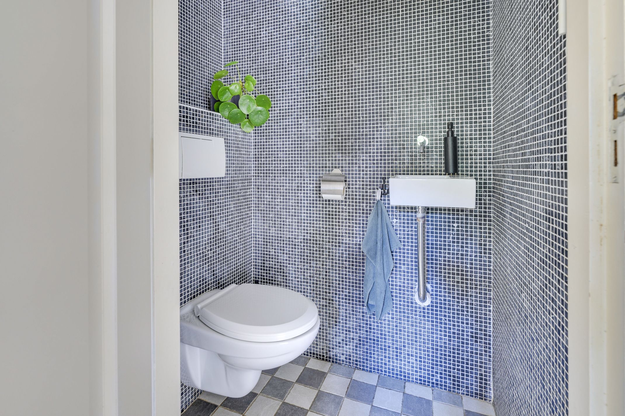 Foto 6 van Zwaluw 52