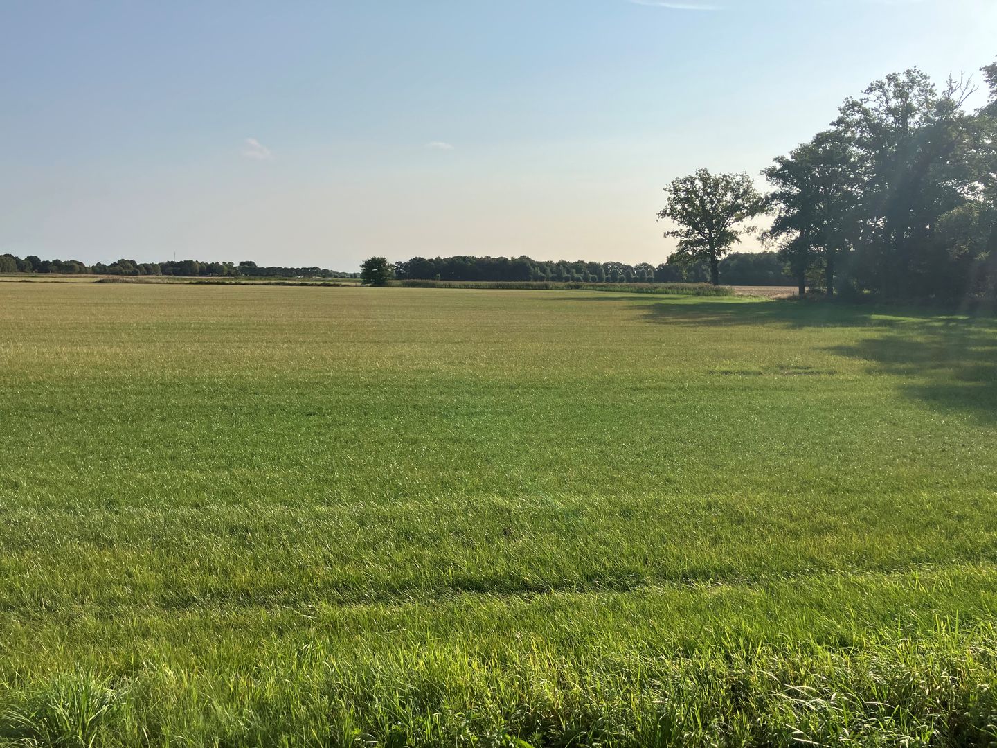 View photo 1 of Daalhorst