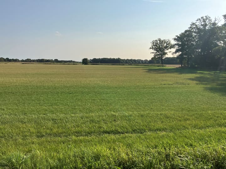 Daalhorst, Gemert