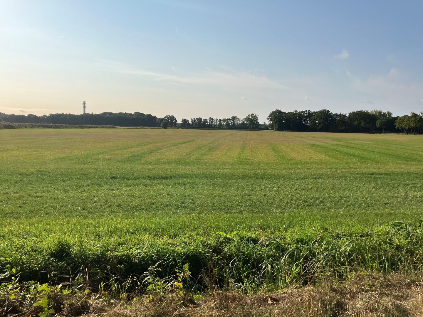 View photo 2 of Daalhorst