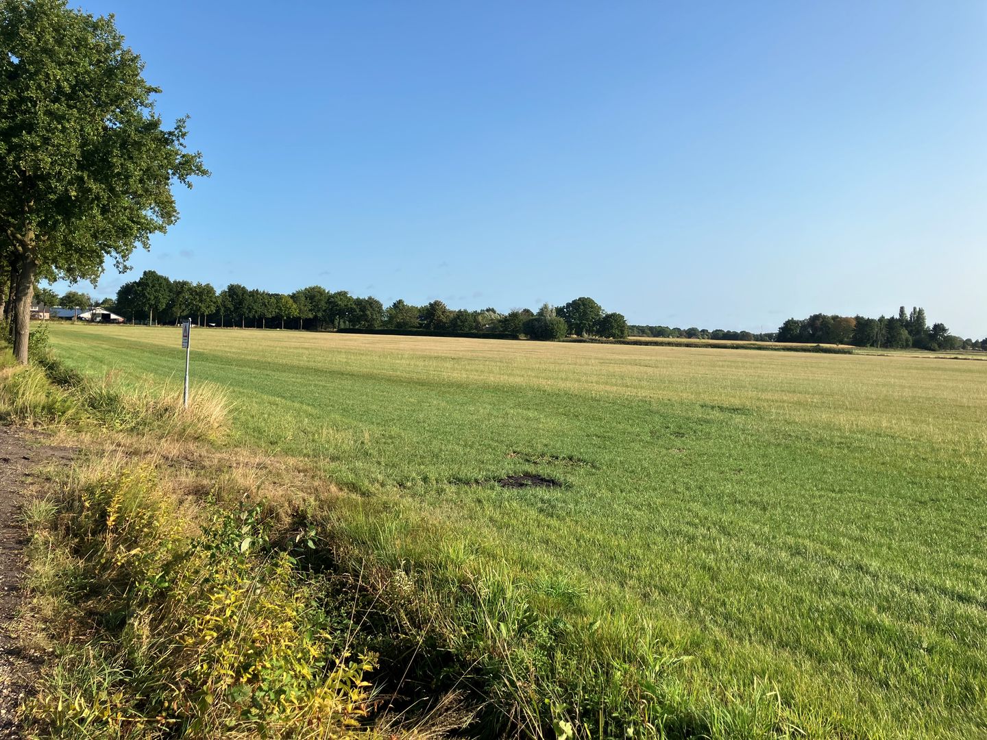 View photo 3 of Daalhorst