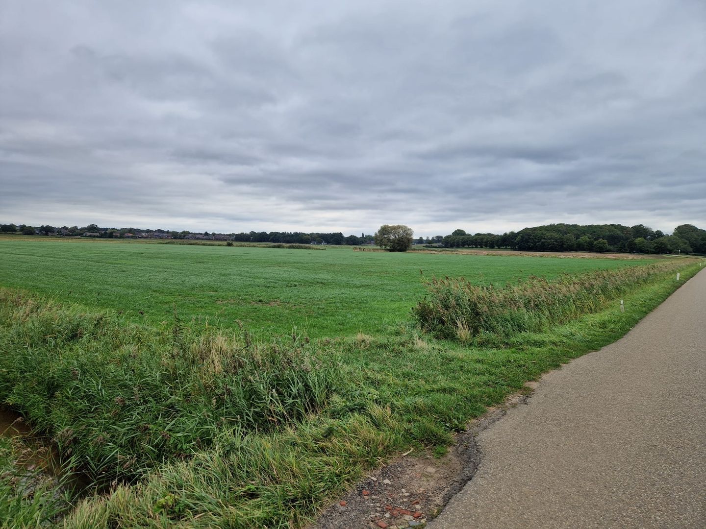 Bekijk foto 3 van Nieuweweg